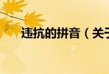 違抗的拼音（關(guān)于違抗的拼音的介紹）