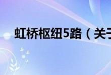 虹橋樞紐5路（關(guān)于虹橋樞紐5路的介紹）