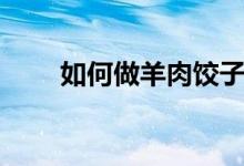 如何做羊肉餃子（羊肉餃子的做法）
