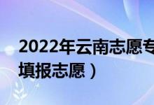 2022年云南志愿?？婆顖髸r間（什么時候填報志愿）