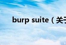 burp suite（關(guān)于burp suite的介紹）