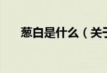蔥白是什么（關(guān)于蔥白是什么的介紹）