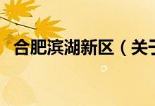 合肥濱湖新區(qū)（關(guān)于合肥濱湖新區(qū)的介紹）