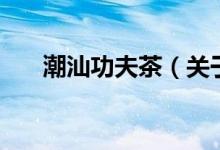 潮汕功夫茶（關(guān)于潮汕功夫茶的介紹）