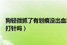 狗輕微抓了有劃痕沒(méi)出血怎么辦（狗抓沒(méi)出血但有點(diǎn)劃痕要打針嗎）
