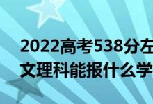 2022高考538分左右能上哪些大學(xué)（新高考文理科能報(bào)什么學(xué)校）