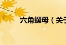 六角螺母（關(guān)于六角螺母的介紹）