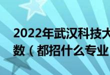 2022年武漢科技大學各省招生計劃及招生人數(shù)（都招什么專業(yè)）