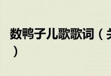 數(shù)鴨子兒歌歌詞（關于數(shù)鴨子兒歌歌詞的介紹）