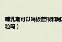 哺乳期可以喝板藍(lán)根和阿莫西林嗎（哺乳期可以喝板藍(lán)根顆粒嗎）