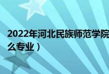 2022年河北民族師范學院各省招生計劃及招生人數(shù)（都招什么專業(yè)）