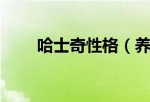 哈士奇性格（養(yǎng)狗之前要了解清楚）