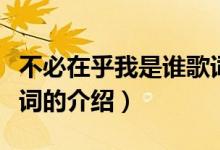 不必在乎我是誰歌詞（關(guān)于不必在乎我是誰歌詞的介紹）