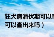 狂犬病潛伏期可以查得出來嗎（狂犬病潛伏期可以查出來嗎）