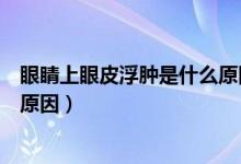 眼睛上眼皮浮腫是什么原因引起的（眼睛上眼皮浮腫是什么原因）