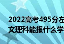2022高考495分左右能上哪些大學（新高考文理科能報什么學校）