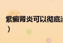 紫癜腎炎可以徹底治愈嗎（紫癜腎炎能治好嗎）