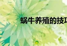 蝸牛養(yǎng)殖的技巧（蝸牛如何養(yǎng)殖）