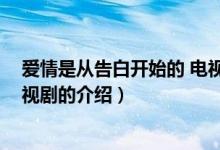 愛情是從告白開始的 電視?。P(guān)于愛情是從告白開始的 電視劇的介紹）