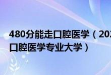 480分能走口腔醫(yī)學（2022年高考460分左右適合報考哪些口腔醫(yī)學專業(yè)大學）