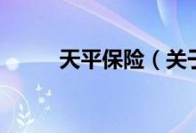 天平保險（關(guān)于天平保險的介紹）