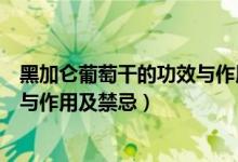 黑加侖葡萄干的功效與作用及副作用（黑加侖葡萄干的功效與作用及禁忌）
