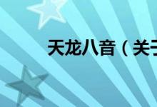 天龍八音（關(guān)于天龍八音的介紹）