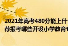 2021年高考480分能上什么學(xué)校（2022年高考480分左右推薦報考哪些開設(shè)小學(xué)教育專業(yè)的大學(xué)）