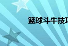 籃球斗牛技巧（方法很簡(jiǎn)單）