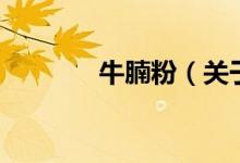 牛腩粉（關于牛腩粉的介紹）
