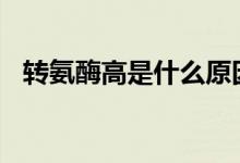 轉(zhuǎn)氨酶高是什么原因（轉(zhuǎn)氨酶120嚴(yán)重嗎）