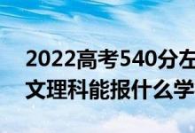 2022高考540分左右能上哪些大學(xué)（新高考文理科能報(bào)什么學(xué)校）