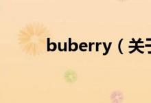 buberry（關(guān)于buberry的介紹）