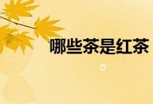 哪些茶是紅茶（4種紅茶的介紹）