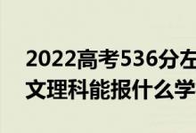 2022高考536分左右能上哪些大學(xué)（新高考文理科能報什么學(xué)校）