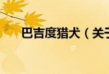 巴吉度獵犬（關(guān)于巴吉度獵犬的介紹）