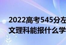 2022高考545分左右能上哪些大學(xué)（新高考文理科能報(bào)什么學(xué)校）