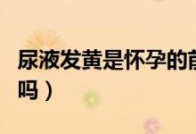尿液發(fā)黃是懷孕的前兆嗎（尿液發(fā)黃是懷孕了嗎）