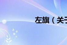 左旗（關(guān)于左旗的介紹）