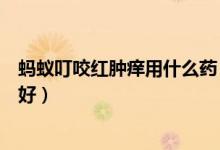 螞蟻叮咬紅腫癢用什么藥（螞蟻咬了后紅腫癢用什么藥比較好）