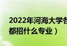 2022年河海大學(xué)各省招生計劃及招生人數(shù)（都招什么專業(yè)）