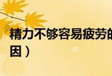 精力不夠容易疲勞的原因（容易疲勞是什么原因）