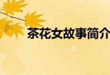 茶花女故事簡介（茶花女小說簡介）
