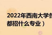 2022年西南大學(xué)各省招生計劃及招生人數(shù)（都招什么專業(yè)）