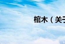 棺木（關(guān)于棺木的介紹）