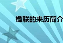 楹聯(lián)的來(lái)歷簡(jiǎn)介（楹聯(lián)的起源介紹）