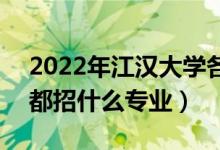 2022年江漢大學(xué)各省招生計劃及招生人數(shù)（都招什么專業(yè)）