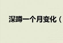 深蹲一個月變化（深蹲一個月后的變化）