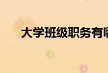 大學(xué)班級(jí)職務(wù)有哪些（有哪些班干部）