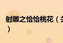 射雕之恰恰桃花（關(guān)于射雕之恰恰桃花的介紹）
